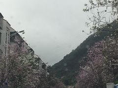 -小南山公园