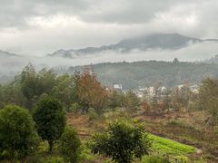 -塔川景区