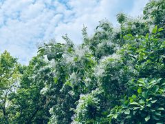 -国家植物园南园