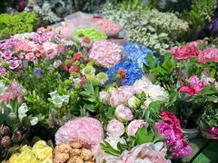 -朝来春花卉市场