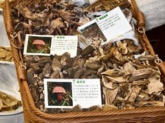 -太婆天府山珍酒楼(亚运村店)
