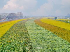 -中国天府农业博览园
