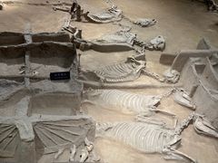 -洛阳周王城天子驾六博物馆