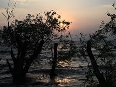 -捞渔河湿地公园