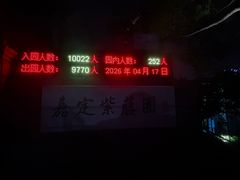 -嘉定紫藤园