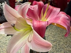 -真地道京味府·鲜橙烤鸭·北京菜(朝外大街东大桥店)