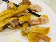 堪江大扇鸡-金苑海鲜酒家(新港中路店)