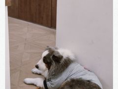 -漫慢里艺术体验馆·绘画调香手工DIY