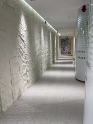 -碧莲盛·脱发养发中心