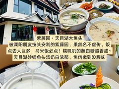-紫藤园·天目湖大鱼头(南山竹海店)