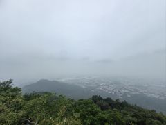 -紫金山山顶公园