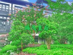 -上海皇廷花园酒店·西餐厅·自助餐