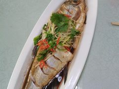 -掌勺人鱼馆(朝阳镇店)