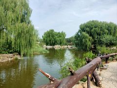 -北京西山国家森林公园