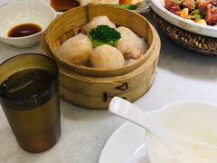 -南枝记