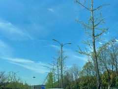 -老赵面店(大西路店)