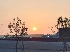 -句容茅山景区