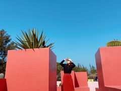 -漳州滨海火山岛自然生态风景区