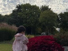 -郑州植物园