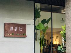 -猫里有甜