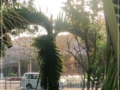 -金莲花广场
