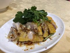 白切鸡-电白鸭粥店(下沙二坊88号店)