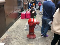 -珍妮曲奇聪明小熊(上环店)