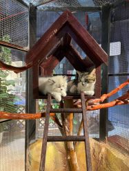 -酷嗒动物文化乐园(cutezoo西溪乐天城店)