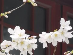-堤角公园