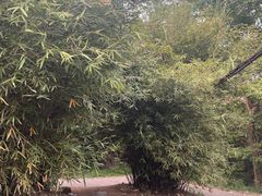 -青龙山国家森林公园