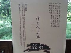 -普陀山雷迪森庄园