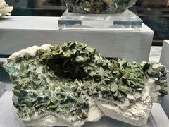 -湖南省地质博物馆