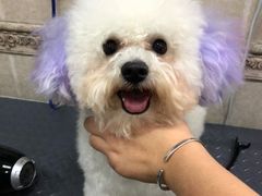 -宠颐生宠物医院·综合诊疗(先锋分院)
