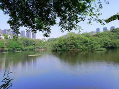 -重庆彩云湖湿地公园
