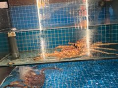 -隐炉和牛烧肉店(群力店)