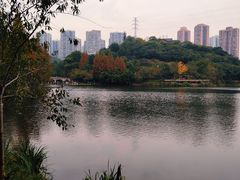 -重庆彩云湖湿地公园