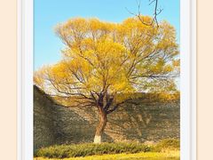 -北京明城墙遗址公园