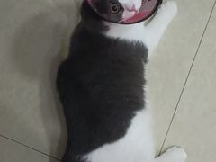 -联合动物医院(光谷诊疗中心)