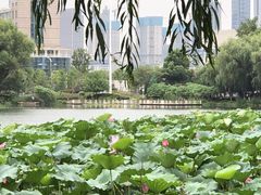 -月湖风景区