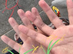 -浙江理工大学（下沙校区）游泳馆