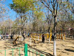 -草根堂农场