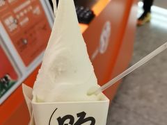 -野人先生现做冰淇淋(北京王府井东方新天地店)