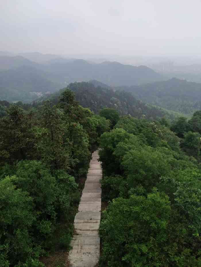 天花井国家森林公园-"国家级的森林公园,在市郊莲花镇东城村,九.
