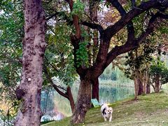 -筋骨堂热敷推拿按摩(九方购物广场店)