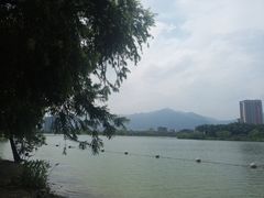 -飞来湖湿地公园