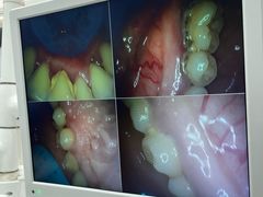 -牙博士口腔品牌连锁(杨浦店)