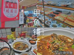 -甲鱼张甲鱼铺子(观沙岭店)