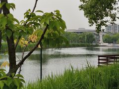 -新江湾城公园