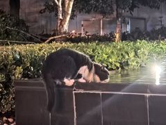-常熟理文铂尔曼酒店
