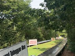 -富斯特索道